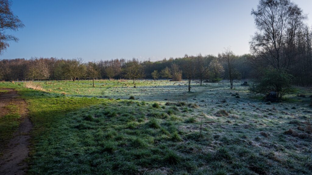 Wiese am TQ, Bodenfrost